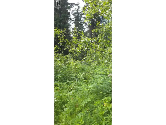 Lot 2 CHIEF LAKE PO ROAD, Prince George