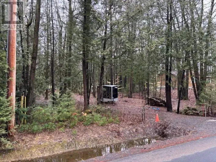 LOT 2 CONCESSION 5 ROAD, Alfred and Plantagenet