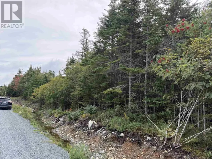 Lot 2 Conrod Beach Road E, Lower East Chezzetcook
