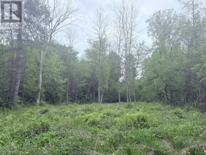 LOT 2 MUTUAL AVENUE, Renfrew