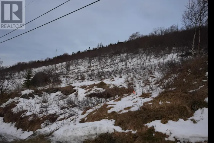 Lot 2 OLD MADDOX COVE Road, MADDOX COVE