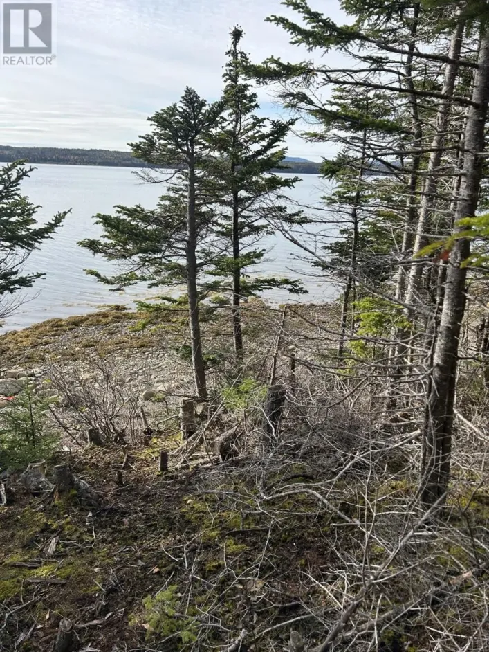 Lot #2, Route 232 Smith Sound Road, HARCOURT