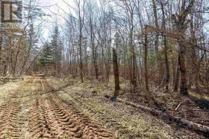 Lot 2 Seaman Street, East Margaretsville