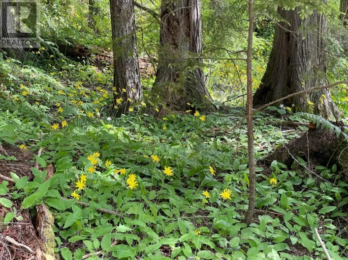 Lot 2 SELKIRK Road, Crawford Bay