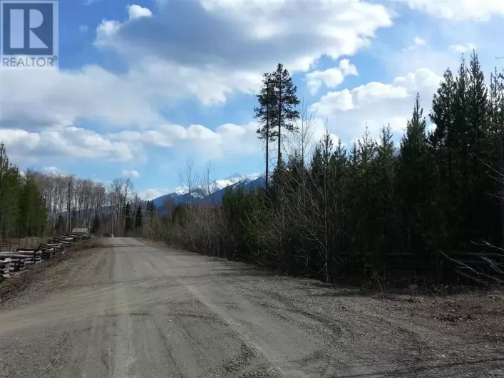 LOT 2 SMALL RIVER FSR ROAD, Valemount