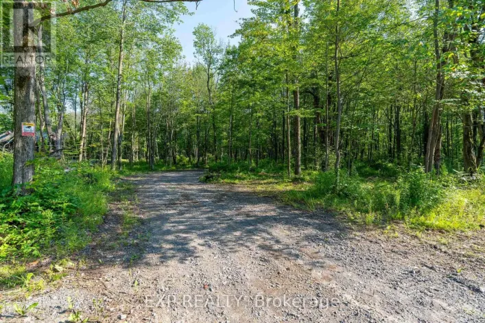 LOT 20 CONCESSION 4 ROAD, Alfred and Plantagenet