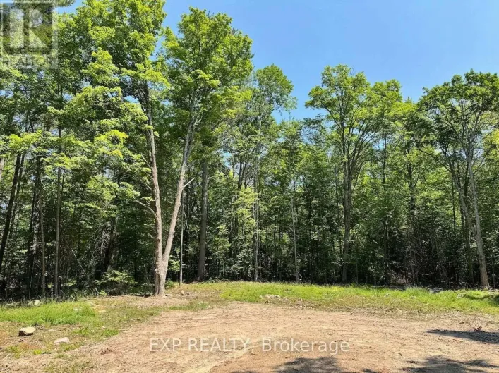 LOT 21 LAKEWOODS DRIVE, Madawaska Valley