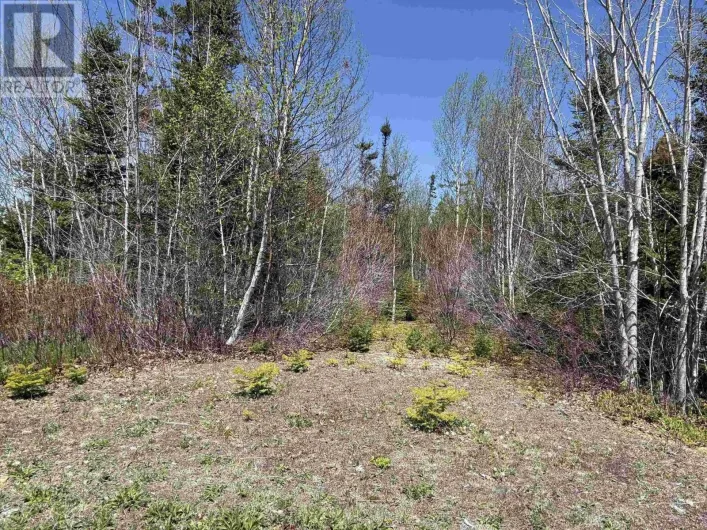 Lot 22 Marble Mountain Road, South Side River Denys