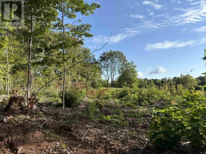 Lot 24-1 Lorabelle Court, Montrose