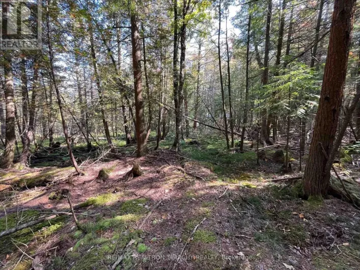 LOT 25 CHAMPLAIN ROAD, Tiny