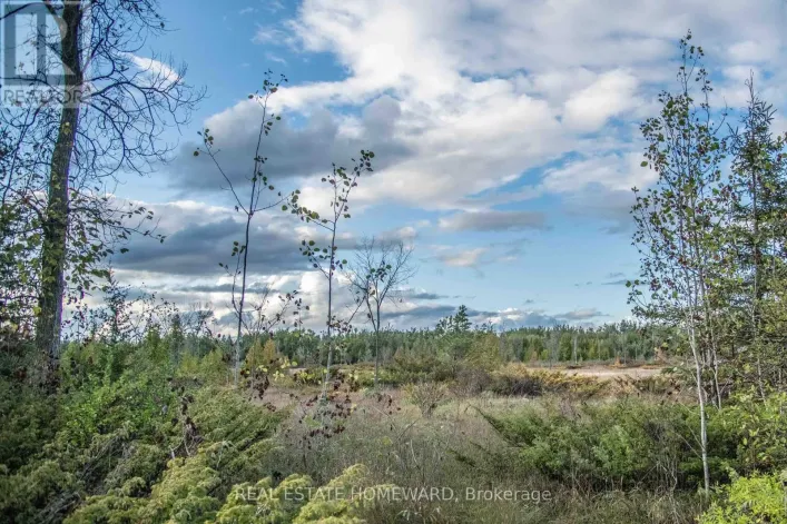 LOT 254 MCGUIRE BEACH ROAD, Kawartha Lakes