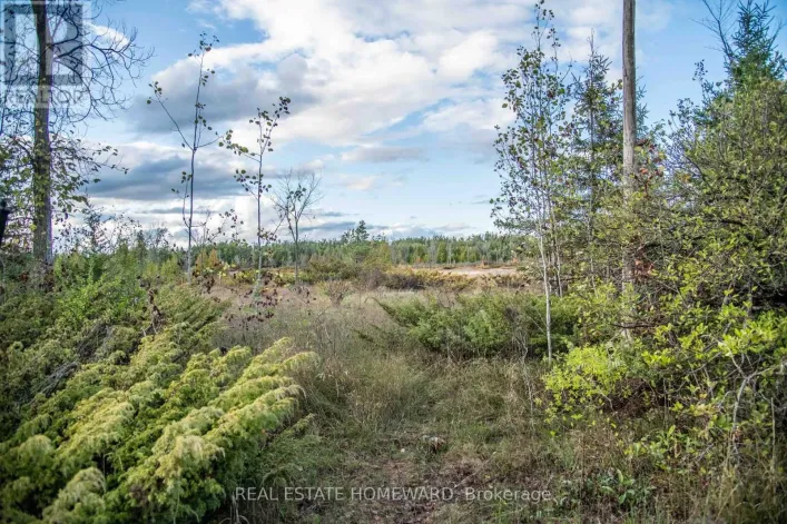 LOT 256 MCGUIRE BEACH ROAD, Kawartha Lakes