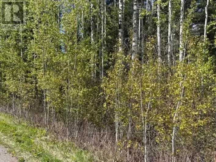 LOT 26 BOULTBEE ROAD, Bridge Lake