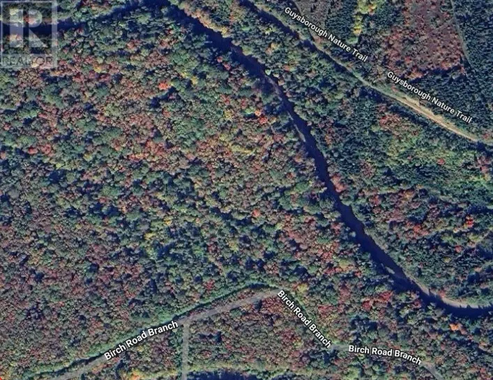 Lot 28 Birch Road Branch, Ogden