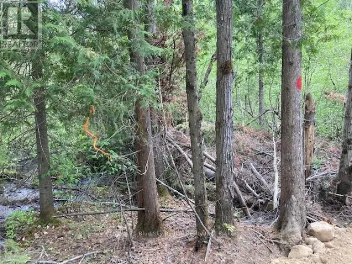 LOT 28 CONCESSION 11, Lake of Bays