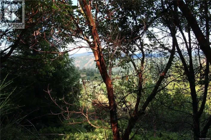 Lot 29 Goldstream Heights Dr, Shawnigan Lake