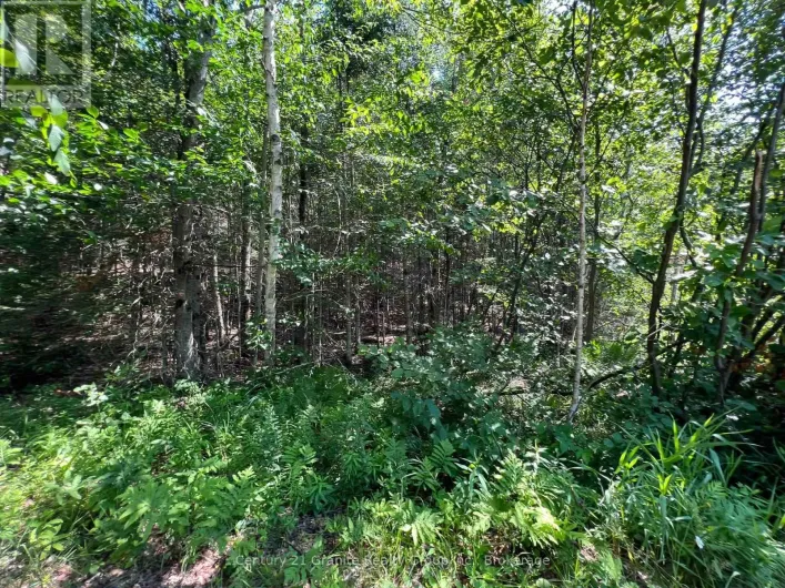 LOT 29 WEST COURT, Dysart et al