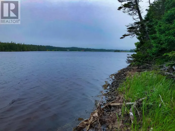 Lot 290 East Side Grand River Road, Grand River