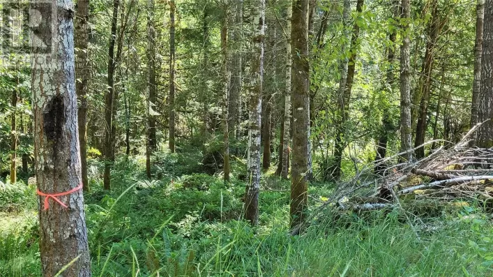 Lot 3 Cowichan Lake Rd, Duncan