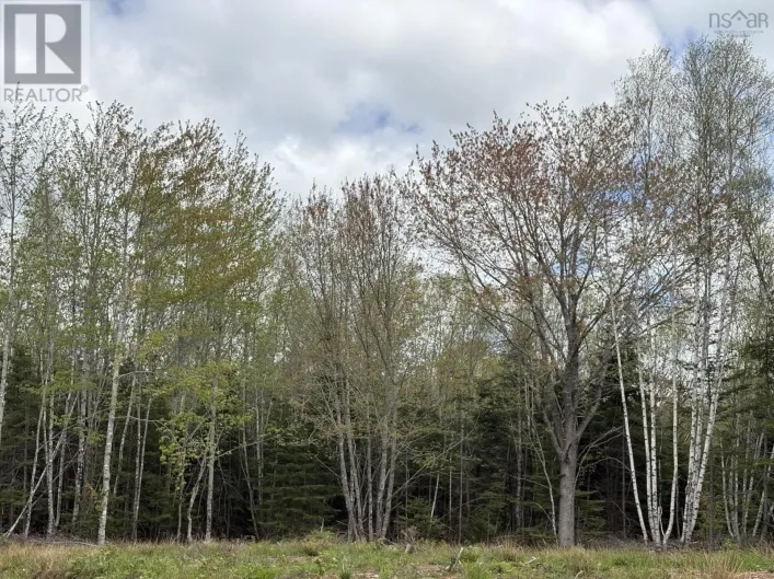 Lot 3 Highway 14, Upper Nine Mile River