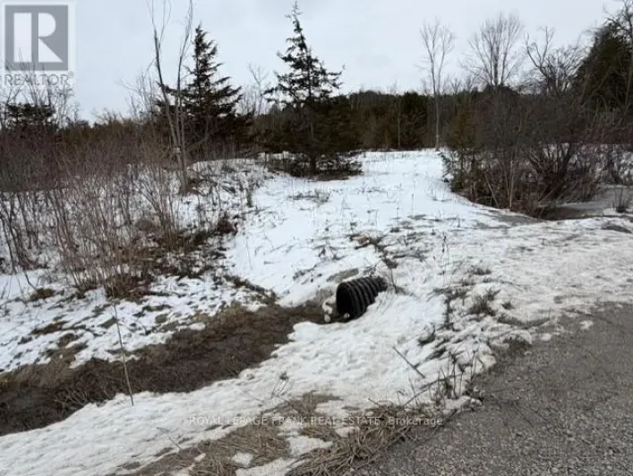 LOT 3 LAKEFIELD ROAD, Selwyn