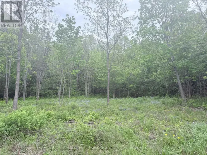 LOT 3 MUTUAL AVENUE, Renfrew