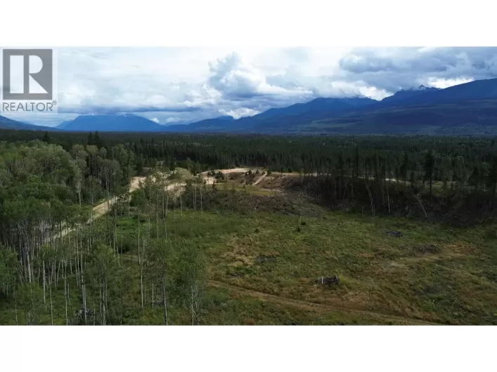 LOT 3 N 5 HIGHWAY, Valemount
