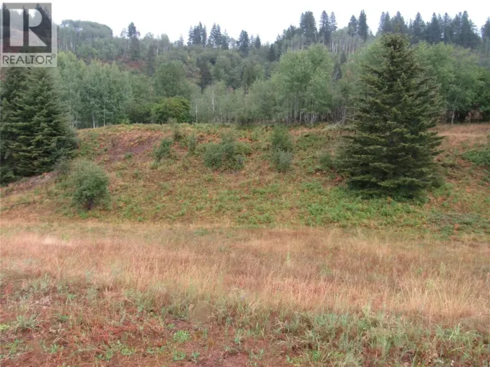 Lot 3 Pearson Road, Castlegar