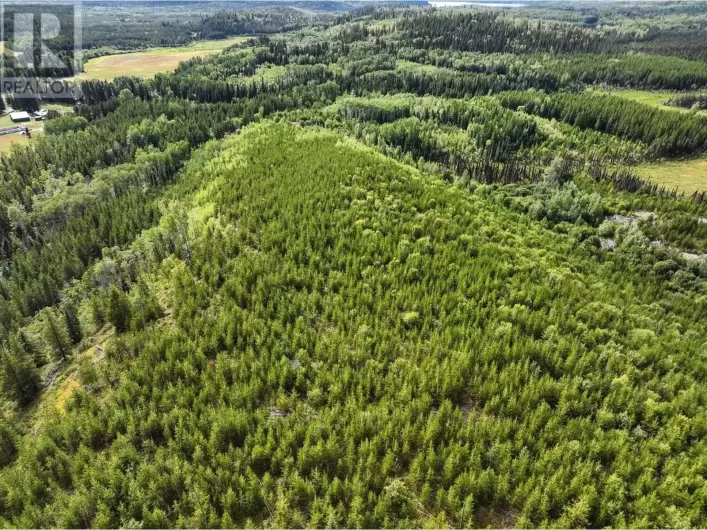 LOT 3 SAXTON LAKE ROAD, Prince George