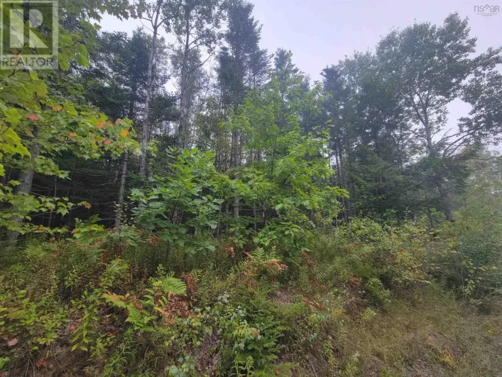 Lot 3 Wilson Drive, Upper Rawdon