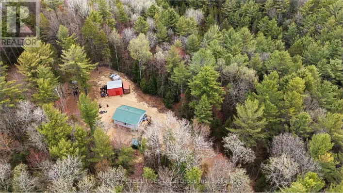 LOT 31 PIONEER ROAD, Bonfield