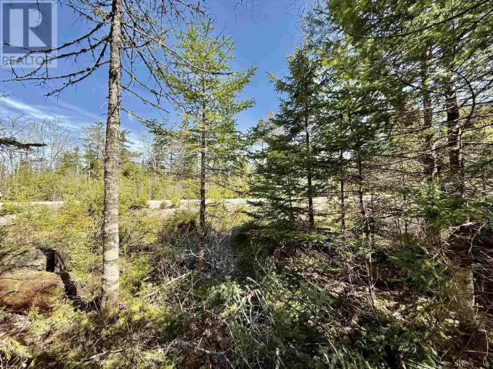 Lot 32 Dynasty Court, Sherwood