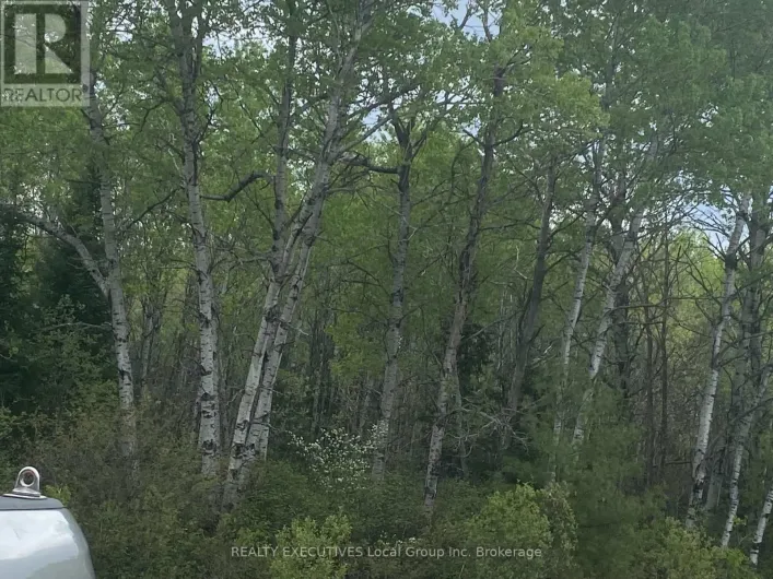 LOT 33 RUTHERGLEN LINE, Bonfield