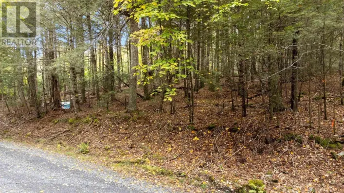 Lot 36 Beaver Dam Crossover, Labelle