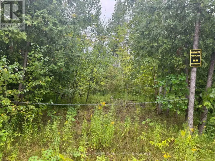 LOT 38 SUMCOT DRIVE, Trent Lakes