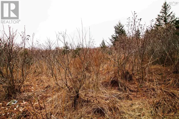 Lot 39 Quaco Road, Port Maitland