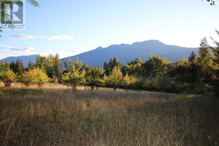 Lot 4 Alexander Road, Nakusp