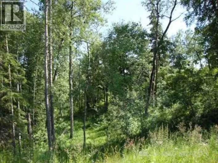 Lot 4 Blk 5 LAKESIDE Drive, Perch Lake