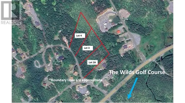 Lot 4 Fraser Sub-Division, Forest Field Area /Salmonier Line