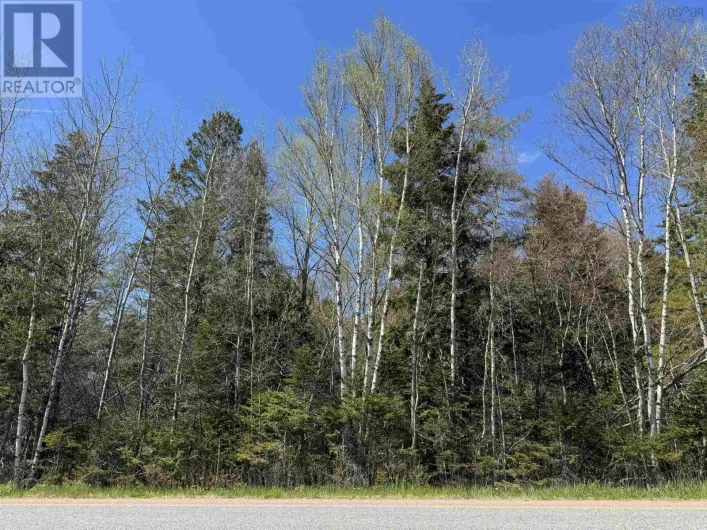 Lot 4 Highway 509, Lower Maccan