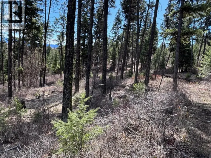 Lot 4 Hulme Creek Road, Rock Creek