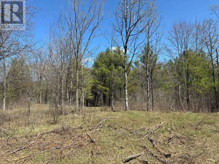 LOT 4 LEVEQUE ROAD, South Frontenac