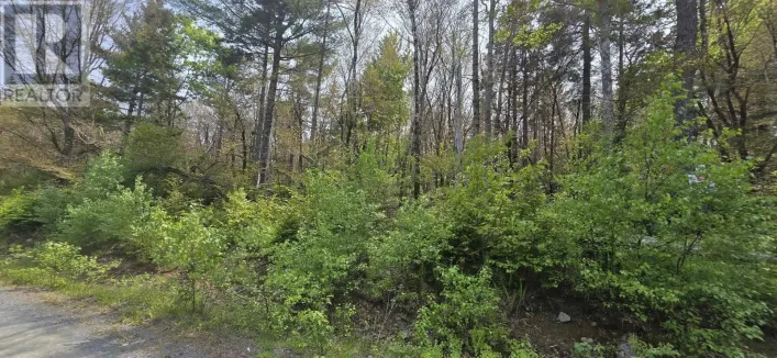 Lot 4 Nathan Croft Road|Camperdown Meadows, Camperdown