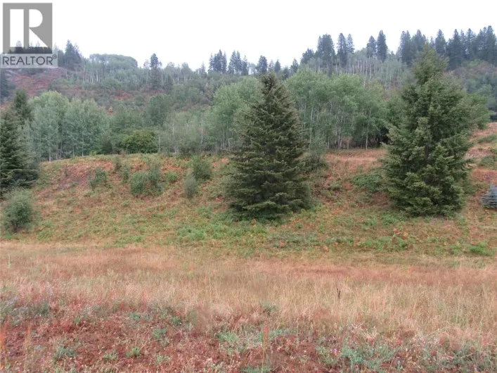 Lot 4 Pearson Road, Castlegar