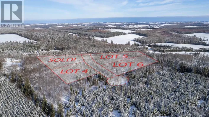 Lot 4 Route 225, Hartsville