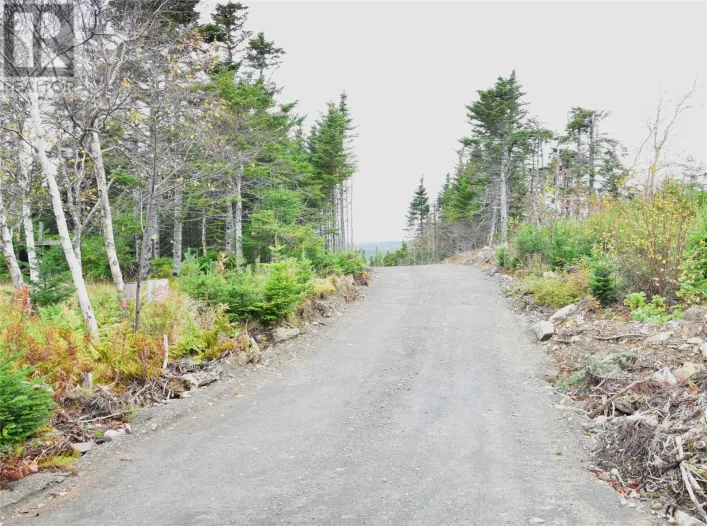 Lot 4 Second Pond Road, Shearstown / Butlerville