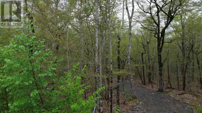 Lot 46 Turner Point Road, Walden