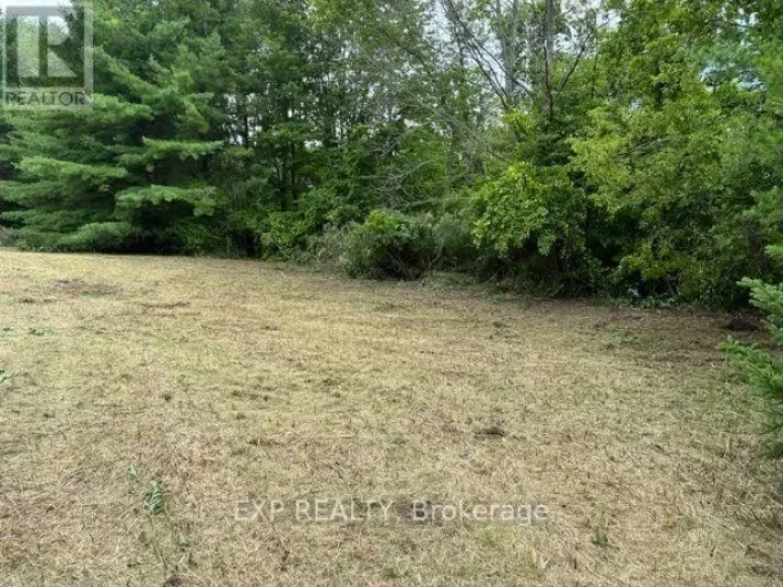 LOT 5 & 6 RP 18 NOONAN ROAD, Alnwick/Haldimand