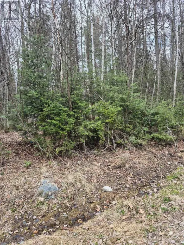 LOT 5 ARBUTUS TRAIL, Mattawan