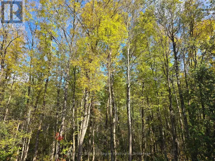 LOT 5 CON 3 GUILLEMETTE ROAD, West Nipissing